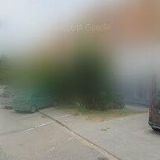 JUNÁK-ČESKÝ SKAUT, STŘEDISKO KVĚTNICE Tišnov