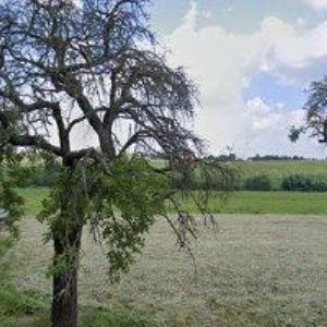 obrazek: avatar JUNÁK-ČESKÝ SKAUT, STŘEDISKO DEVÍTI KŘÍŽŮ Domašov