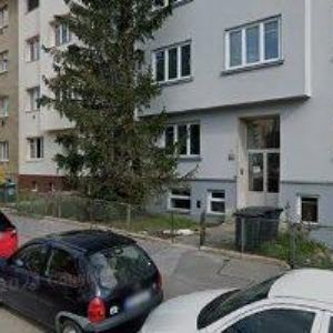 obrazek: avatar PIONÝR-PIONÝRSKÁ SKUPINA LESNÍ MOUDROST BRNO