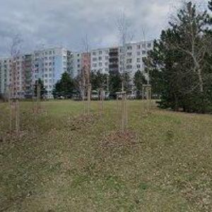 obrazek: avatar D. & Z. ACTIVITY-DETEKTIVNÍ KANCELÁŘ BRNO