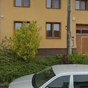 obrazek: avatar ZUBRA