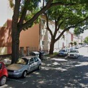 obrazek: avatar SKÁCEL ROMAN Ing.-KRÁLOVSTVÍ LITINY