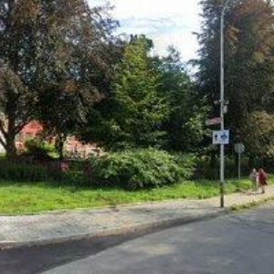 obrazek: avatar KLON & KOL.