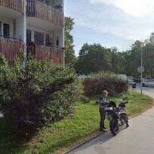 obrazek: avatar KUK A CUK