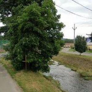 obrazek: avatar DIVADLO PRKNO