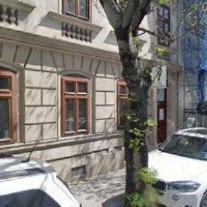 obrazek: avatar ČERNOHLÁVEK MIROSLAV