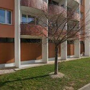 obrazek: avatar MALEČEK MARTIN Mgr.