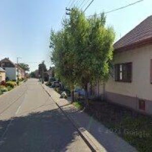 obrazek: avatar TONSTUDIO RAJCHMAN