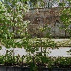 obrazek: avatar RASTISLAV BLANSKO