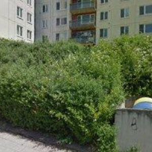 obrazek: avatar LITTLE BAND