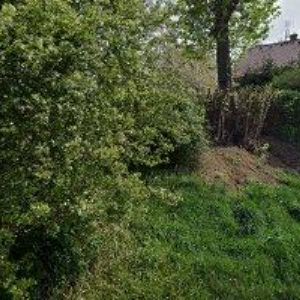 obrazek: avatar NOTA BENE