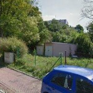 obrazek: avatar VESELYKROKODYL.CZ