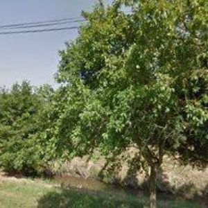 obrazek: avatar KOMORNÍ ORCHESTR ARTHURA NIKISCHE, z.s.