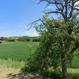 ALUMID-HLINÍKOVÁ OKNA A DVEŘE