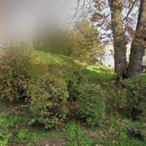 obrazek: avatar FURCH GUITARS, s.r.o.