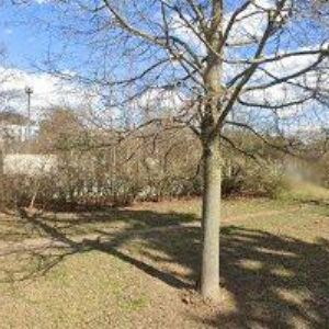 obrazek: avatar KOBRA DESIGN, s.r.o.