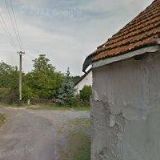 COLLEGIUM PRO ARTE ANTIQUA