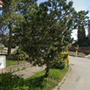 obrazek: avatar MUSIKZONE, s.r.o.