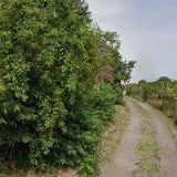 STEINOVÁ RENÁTA Mgr.-FLORISTICKÉ KURZY