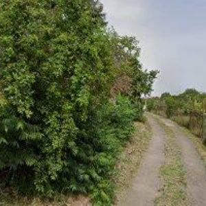 obrazek: avatar STEINOVÁ RENÁTA Mgr.-FLORISTICKÉ KURZY