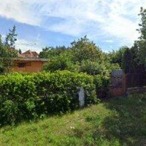 obrazek: avatar GADAS JOSEF