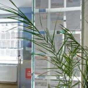 obrazek: avatar GALERIE-D