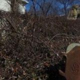 DŮM UMĚNÍ MĚSTA BRNA