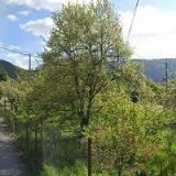 PŘEDNÁŠKY PRO ŠKOLY A VEŘEJNOST