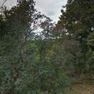 obrazek: avatar MODELÁŘSKÝ KLUB RC FÓGLI BRNO o.s.