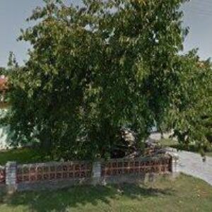 obrazek: avatar ČESKÝ KLUB NĚMECKÝCH OVČÁKŮ