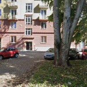 obrazek: avatar VLASOVÉ STUDIO CASCIARO