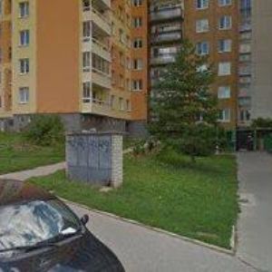 obrazek: avatar SHŠ LOS BEBEDORES DE CERVEZA z.s.