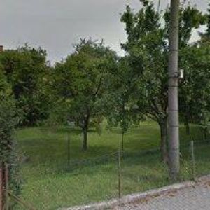 obrazek: avatar KYNOLOGICKÝ KLUB Jedovnice