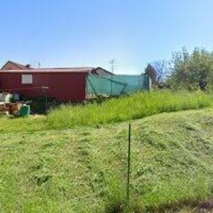 obrazek: avatar MĚSTSKÁ SPORTOVNÍ HALA