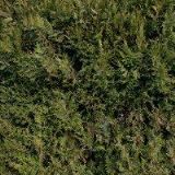 SPORTCENTRUM IVANOVICE s.r.o.