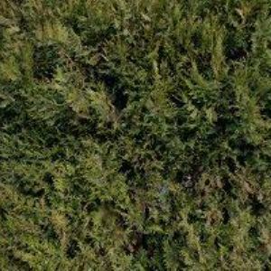 obrazek: avatar SPORTCENTRUM IVANOVICE s.r.o.