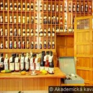 obrazek: avatar WORLD EDUCATION s.r.o.