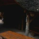 ZOO BRNO A STANICE ZÁJMOVÝCH ČINNOSTÍ, PŘÍSPĚVKOVÁ ORGANIZACE