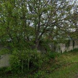 obrazek: avatar MFC-MORFICO s.r.o.