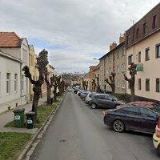 FOITOVÁ DANA MVDr.-F VARIA