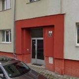 PROCHÁZKA ROSTISLAV