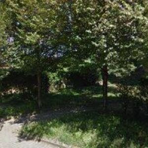 obrazek: avatar STEAMPUNK LABORATORY