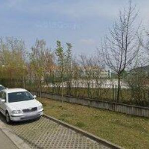 obrazek: avatar REGEE PRODUCTION