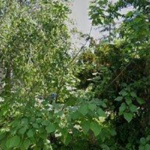 obrazek: avatar ENERGETICKÉ ŠPERKY