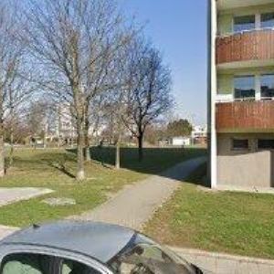 obrazek: avatar ROZMAHELOVÁ KVĚTUŠE