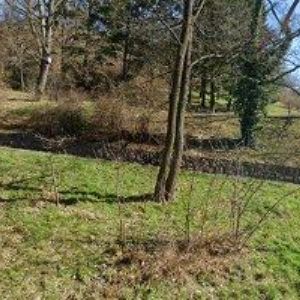 obrazek: avatar KINCL DAVID