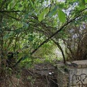 obrazek: avatar GLAMPUJ