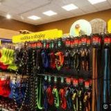 KVĚTINOVÉ STUDIO PAPAVER KVĚTINY