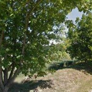 obrazek: avatar ŠEKLIN