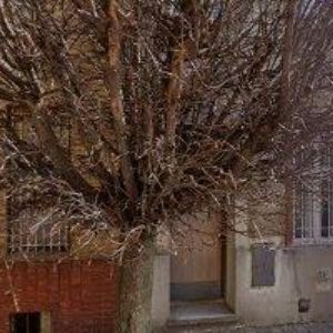 obrazek: avatar SPERÁT IVO PhDr.